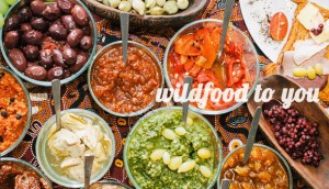 wildfood8